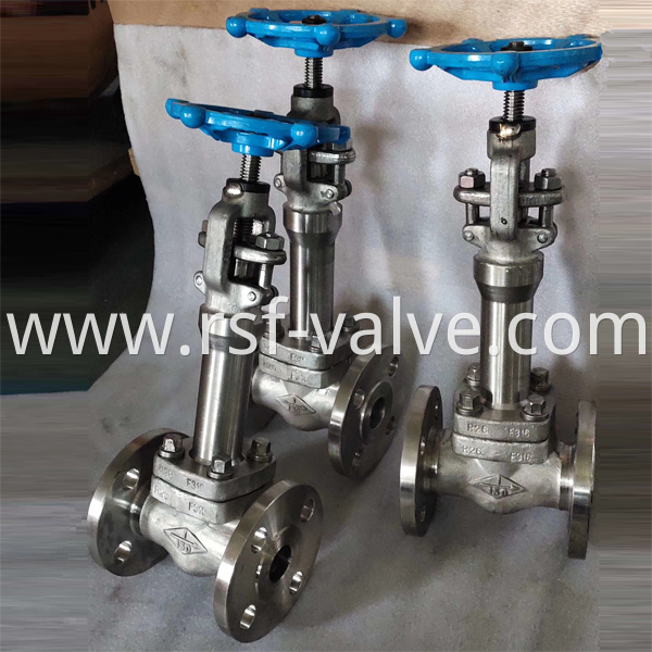 Api602 F316 Bonnet Extended Gate Valve